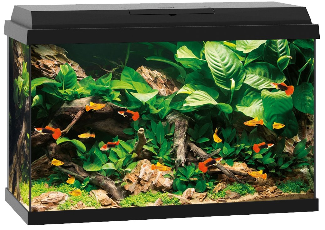 Juwel Primo 70 Aquarium - Black or White - With Cabinet Options