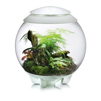 biOrb Terrarium Air Range