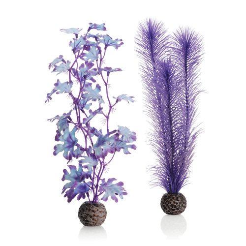 biOrb Plants & Decor Kelp set M purple (46080)