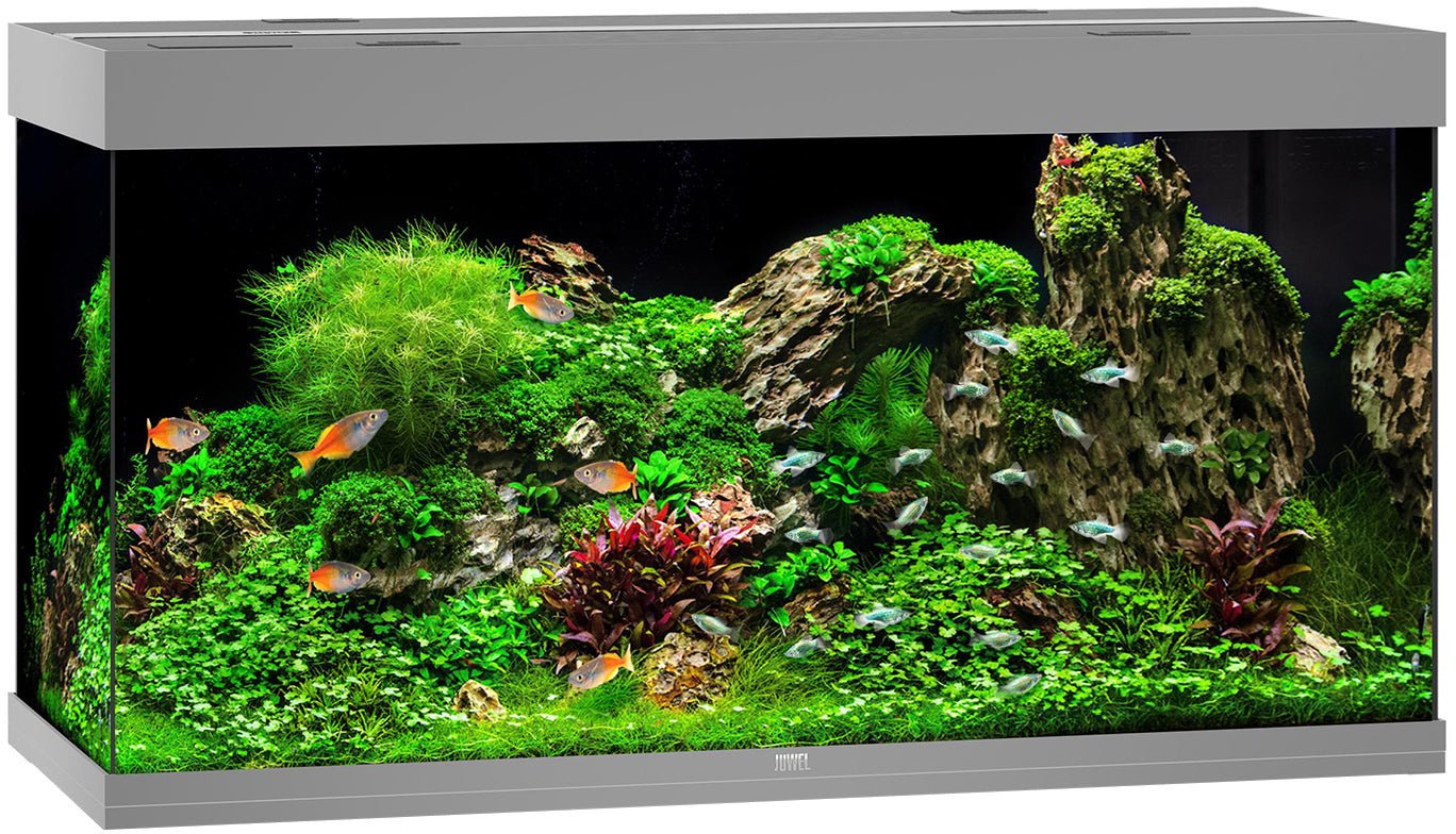 Juwel Aquariums Rio 350 Litre LED grey (07650)