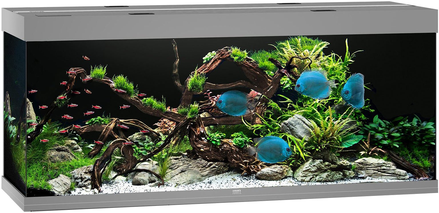 Juwel Aquariums Rio 450 Litre LED grey (05650)