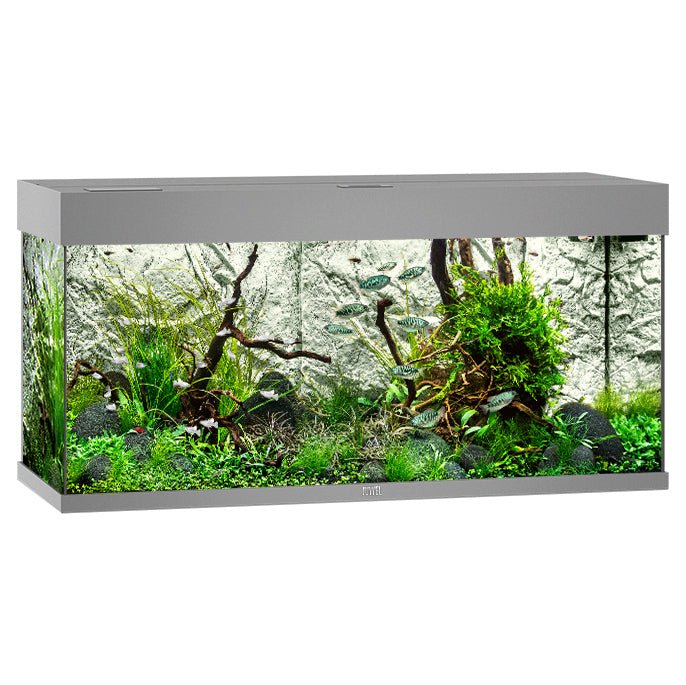 Juwel Aquariums Rio 180 Litre LED Grey (04652)