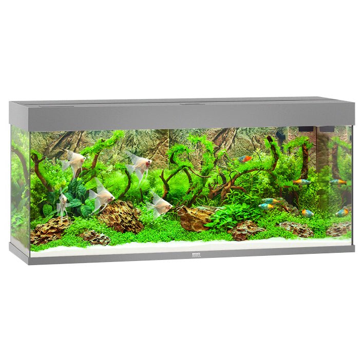 Juwel Aquariums Rio 240 Litre LED Grey (03652)