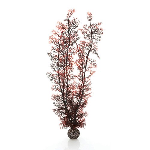 biOrb Plants & Decor Sea fan XL crimson (46075)