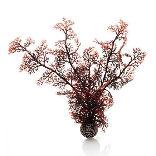 biOrb Plants & Decor Sea fan L crimson (46073)