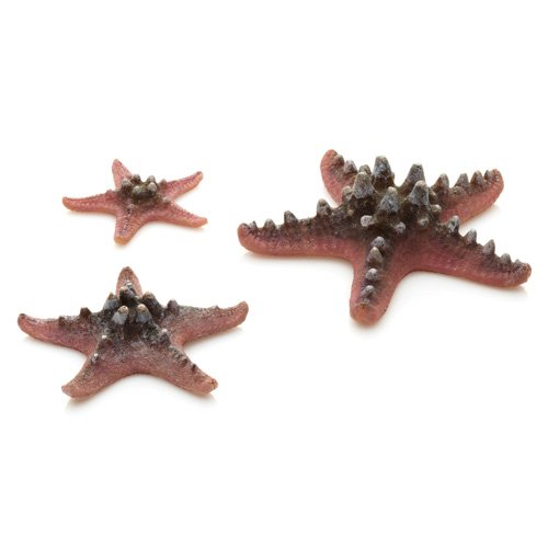 biOrb Decor Sea Star set 3 pink (46136)