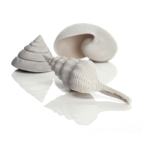 biOrb Decor Sea shell set 3 white (46133)