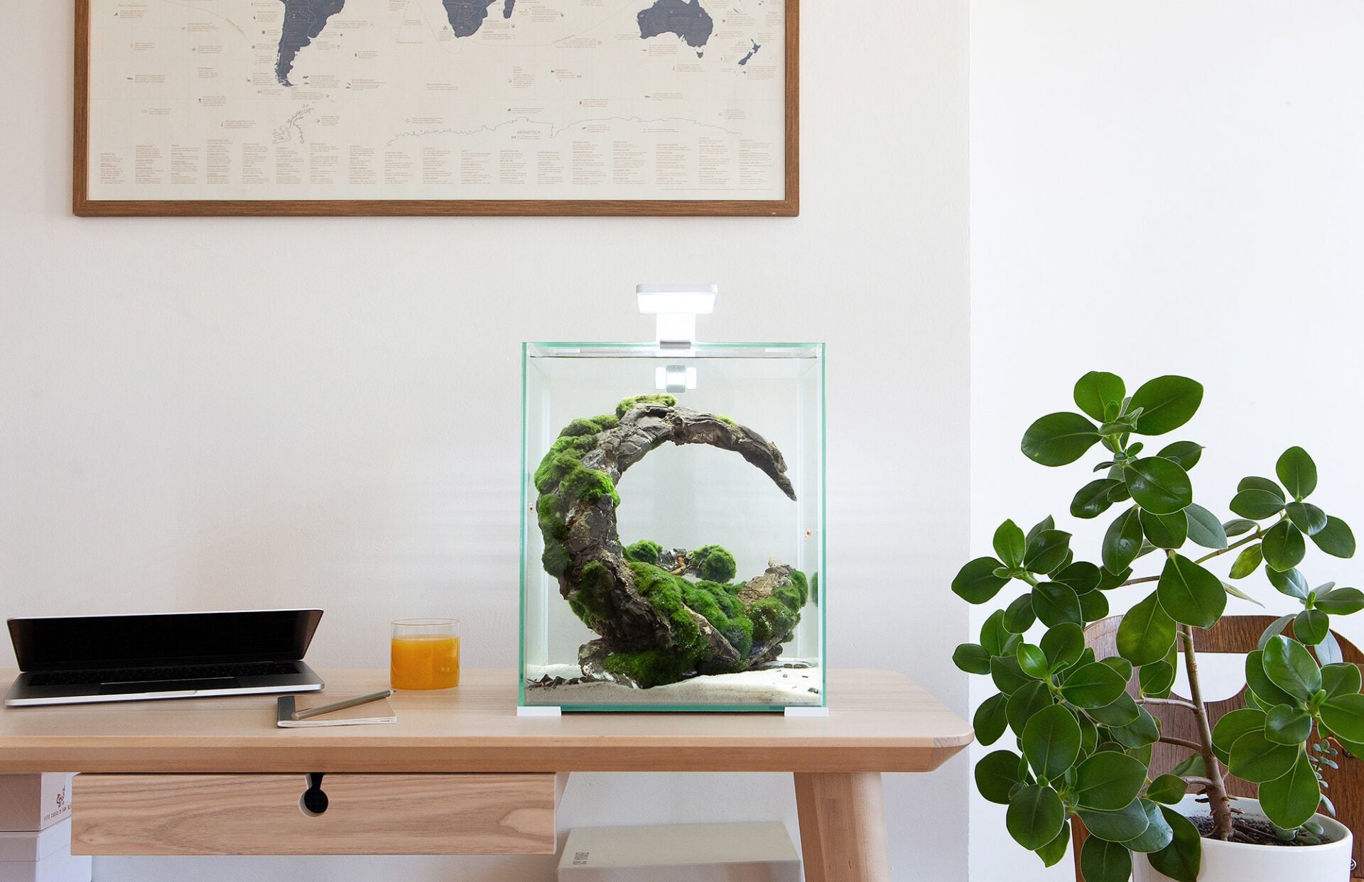AquaEl Smart Shrimp Set Nano Aquarium Day & Night White
