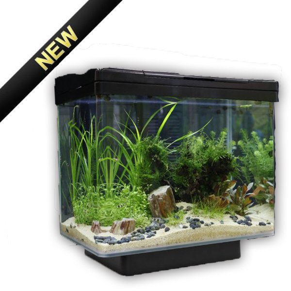 Juwel Vio 40 Fish Aquarium Black -Small 30 Litres