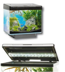 Juwel Vio 40 Fish Aquarium Black -Small 30 Litres