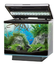 Juwel Vio 40 Fish Aquarium Black -Small 30 Litres