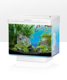 Juwel Vio 40 Fish Aquarium Black -Small 30 Litres