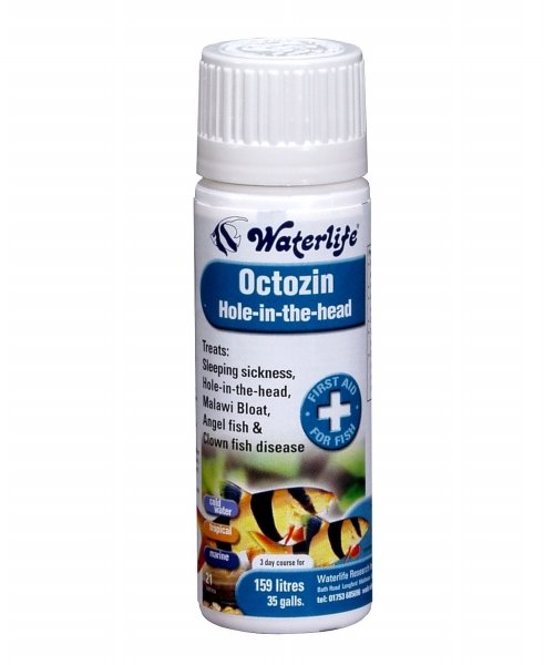 Waterlife Octozin 21 Tablets For Freshwater & Marine Fish