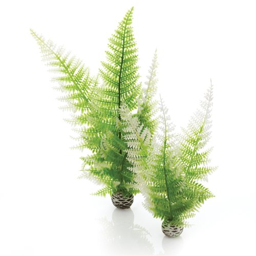 biOrb Plants & Decor Aquatic winter fern set 2 (46066)