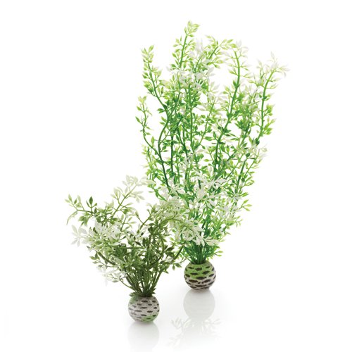 biOrb Plants & Decor Aquatic winter flower set 2 (46067)