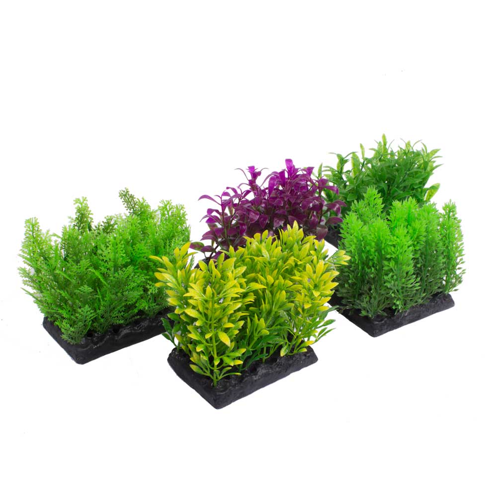 Hugo Low Level matting plants